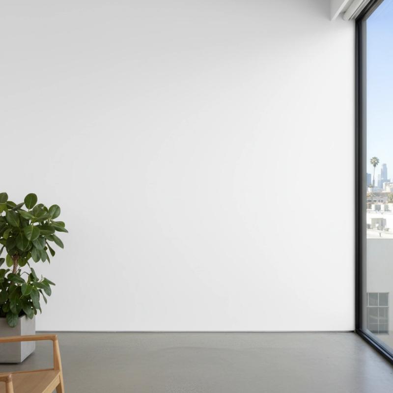 Minimalist gallery with a large window and a plant