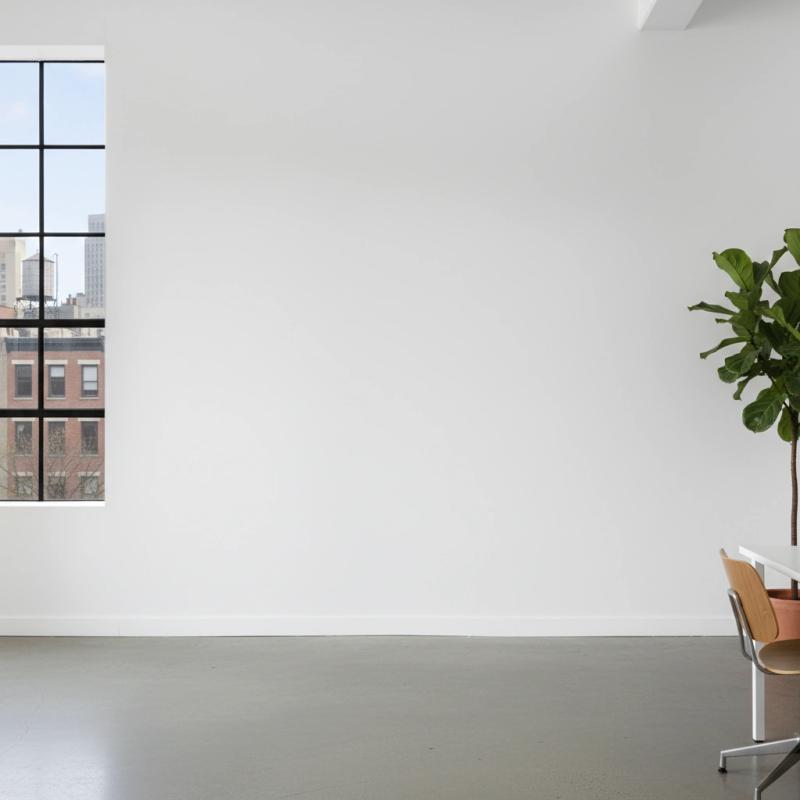 Bright gallery with a large window and houseplant