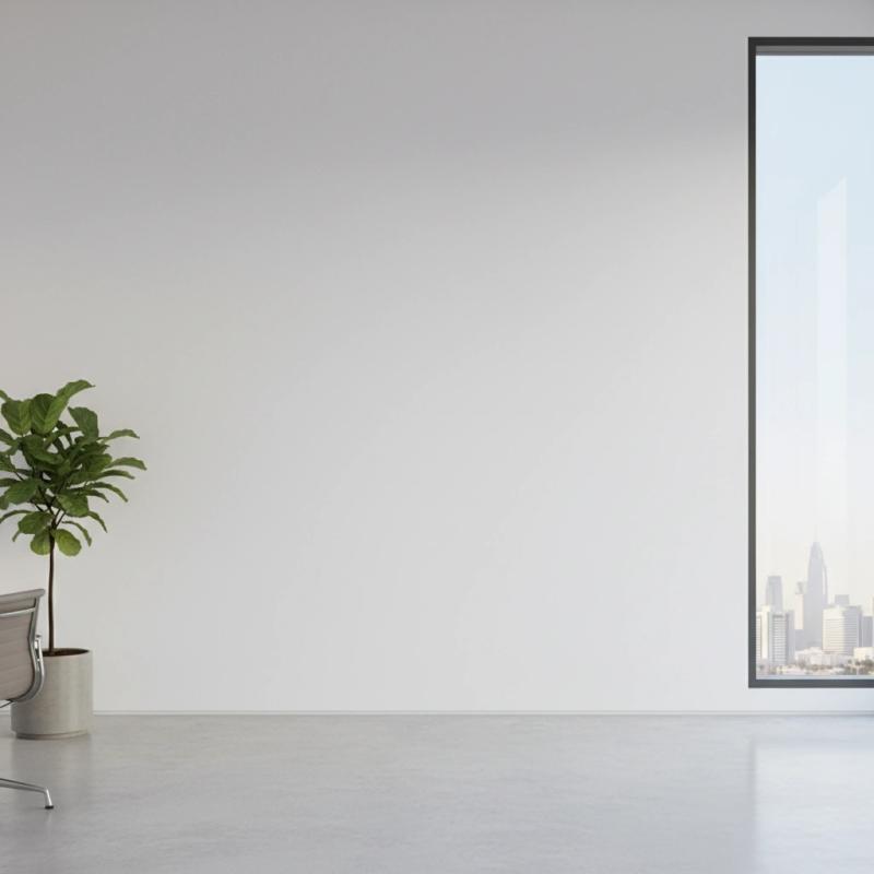 Minimalist gallery with a houseplant and city view