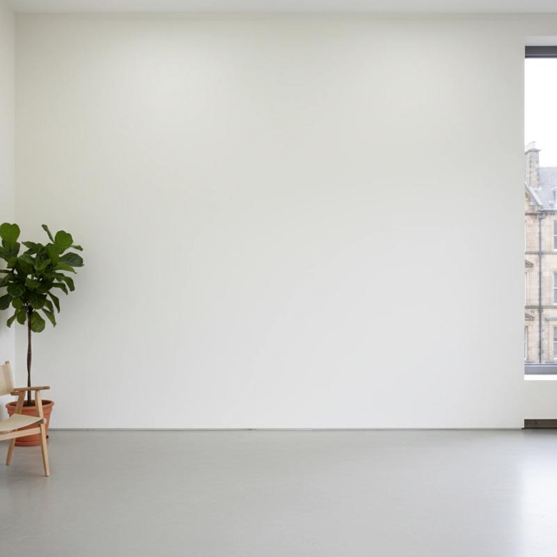 Bright white-cube gallery with a plant and chair