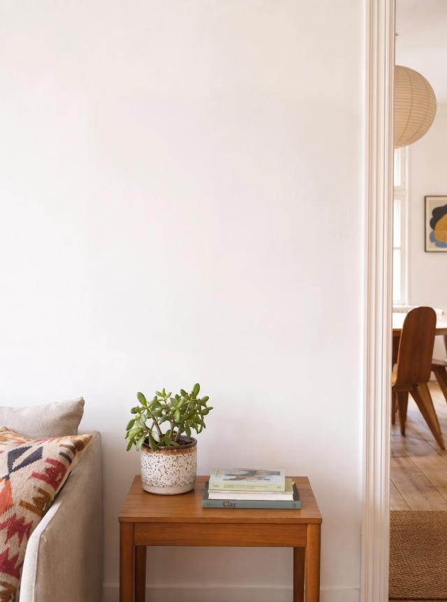 Eclectic living room with a plant and wooden furniture