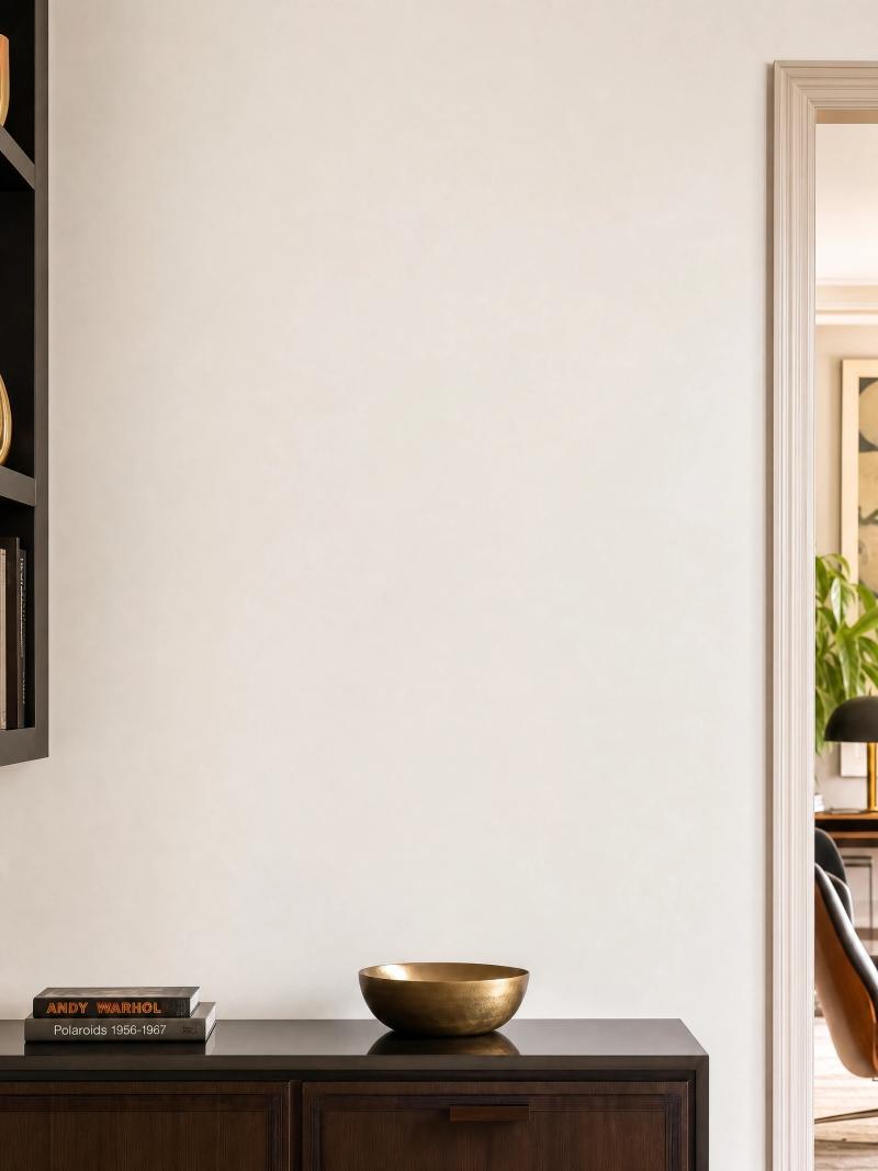 Contemporary hallway with a dark console and books